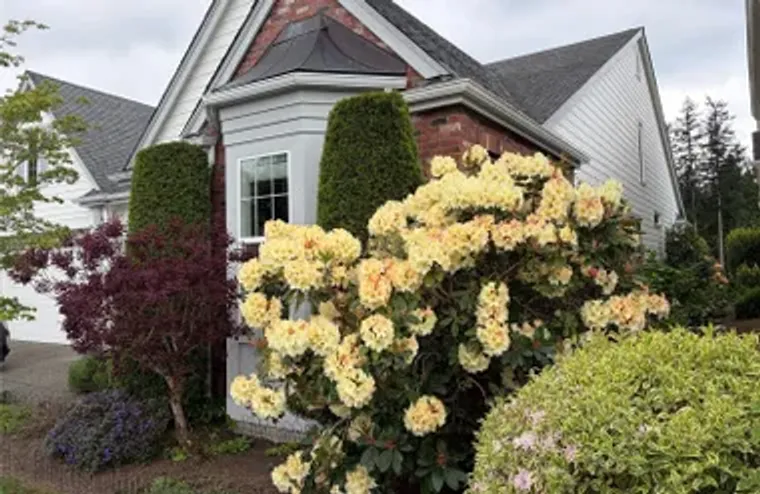23915 NE ADAIR RD, REDMOND, WA, 98053, Redmond, WA 98053