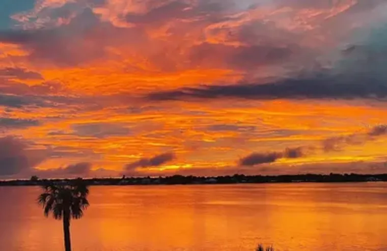 850 TIDEWATER SHORES LOOP 402, BRADENTON..., Bradenton, FL 34208