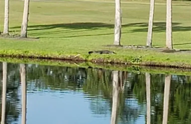 5709 AVISTA DR 4108, SARASOTA, FL, 34243, Sarasota, FL 34243