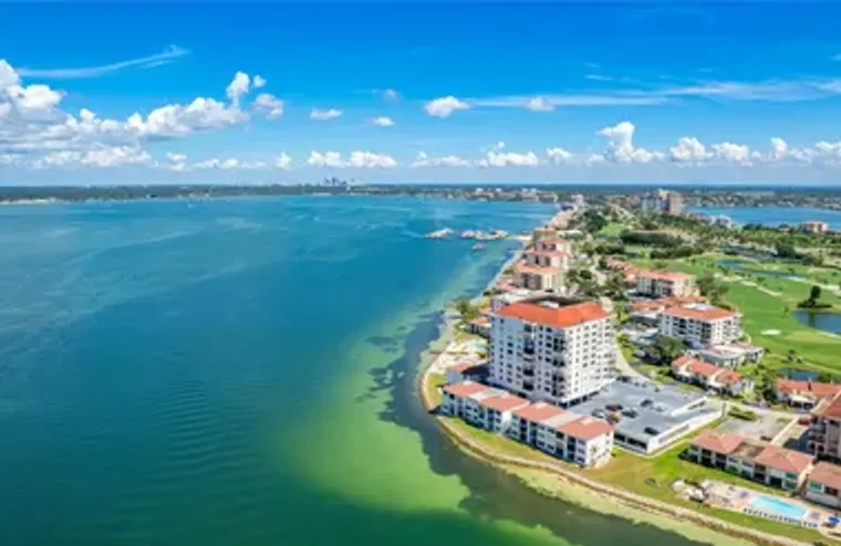 6265 SUN BLVD APT 1004, SAINT PETERSBURG..., Saint Petersburg, FL 33715