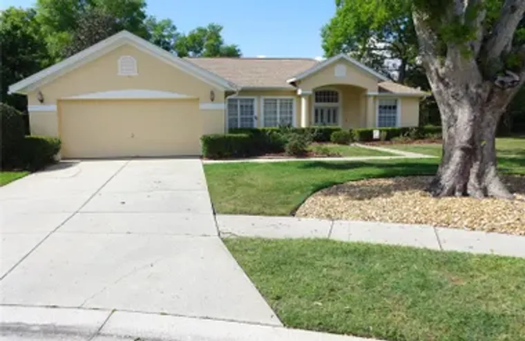 9003 OAKCREST CIR, MOUNT DORA, FL, 32757, Mount Dora, FL 32757