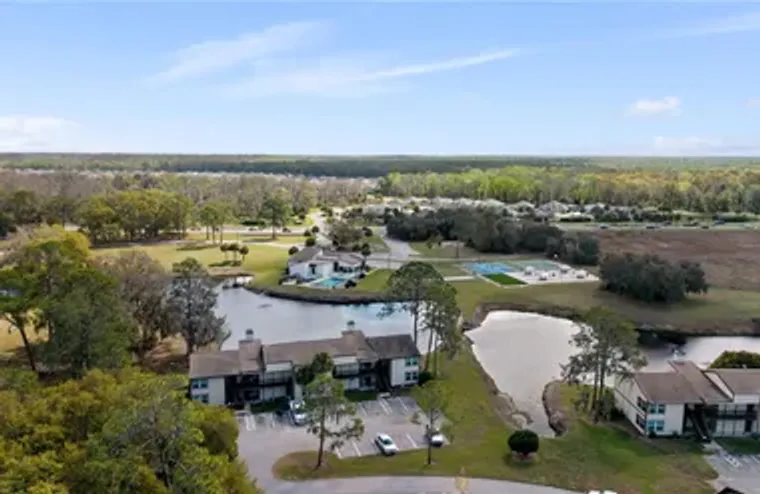 17203 SANDALWOOD DR, WILDWOOD, FL, 34785, Wildwood, FL 34785