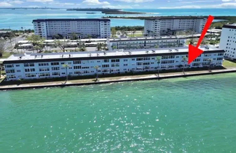 7 DUNOON PL 104, DUNEDIN, FL, 34698, Dunedin, FL 34698