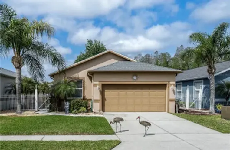 8415 TAROCCO CT, LAND O LAKES, FL, 34637, Land O Lakes, FL 34637