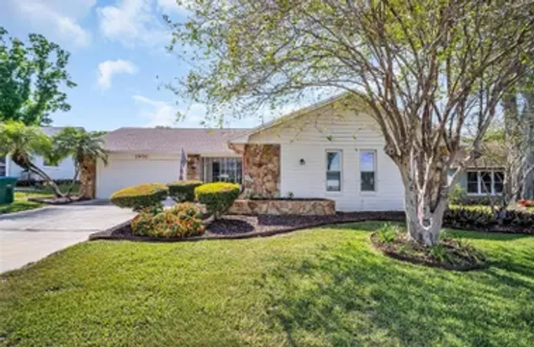 2938 MACALPIN DR, PALM HARBOR, FL, 34684, Palm Harbor, FL 34684