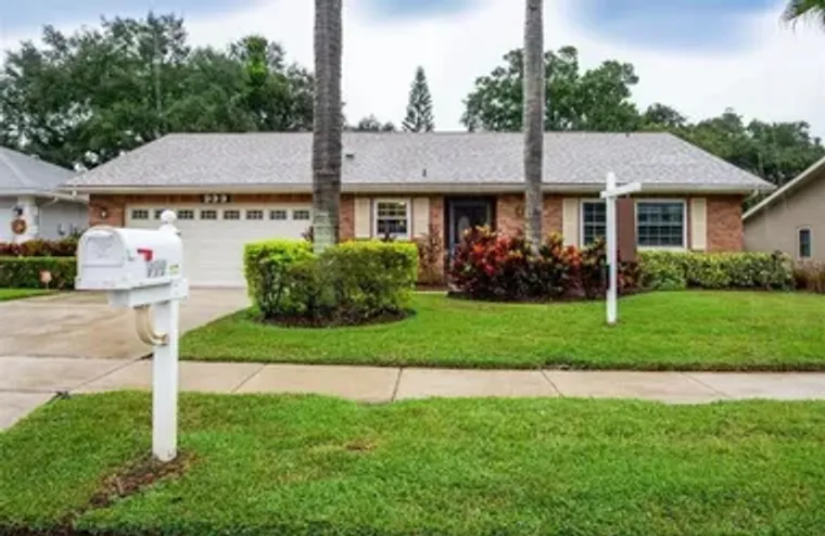 999 GILLESPIE DR, PALM HARBOR, FL, 34684, Palm Harbor, FL 34684