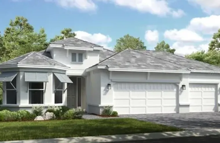 29929 RADICE CT, WESLEY CHAPEL, FL, 3354..., Wesley Chapel, FL 33543