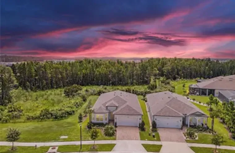 18722 SAILORS DELIGHT PASS, LAND O LAKES..., Land O Lakes, FL 34638