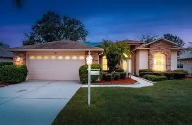 1251 RAMBLING VINE CT, TRINITY, FL, 3465..., Trinity, FL 34655