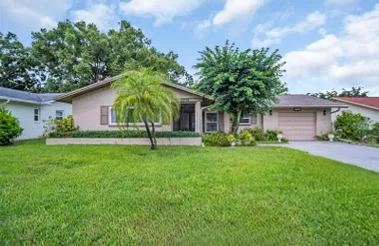 2336 MALCOLM DR, PALM HARBOR, FL, 34684, Palm Harbor, FL 34684