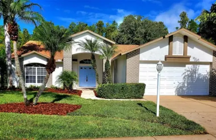 1517 MORNING ROSE PL, TRINITY, FL, 34655, Trinity, FL 34655