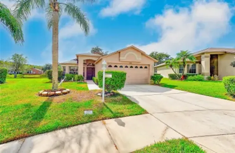 11600 WEAVER PARK CT, TRINITY, FL, 34655, Trinity, FL 34655