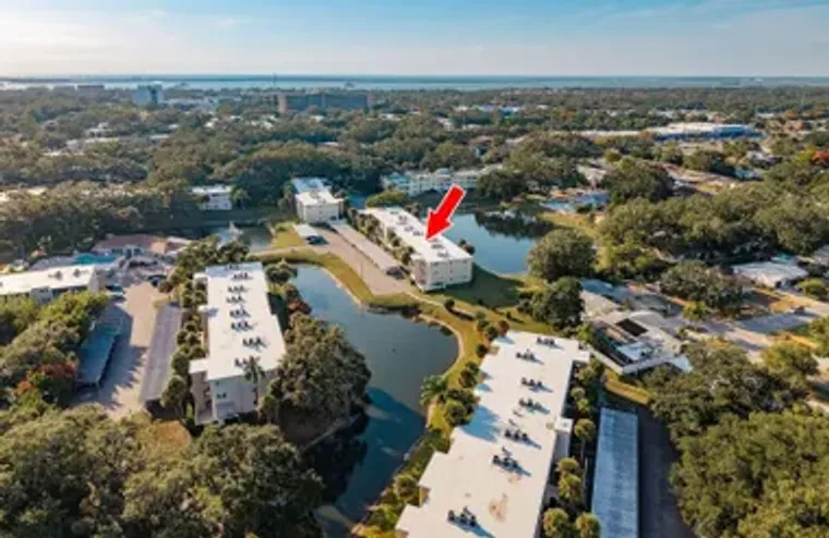 936 VIRGINIA ST 208, DUNEDIN, FL, 34698, Dunedin, FL 34698