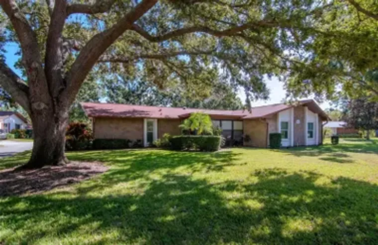 2281 SHELLY DR D, PALM HARBOR, FL, 34684, Palm Harbor, FL 34684