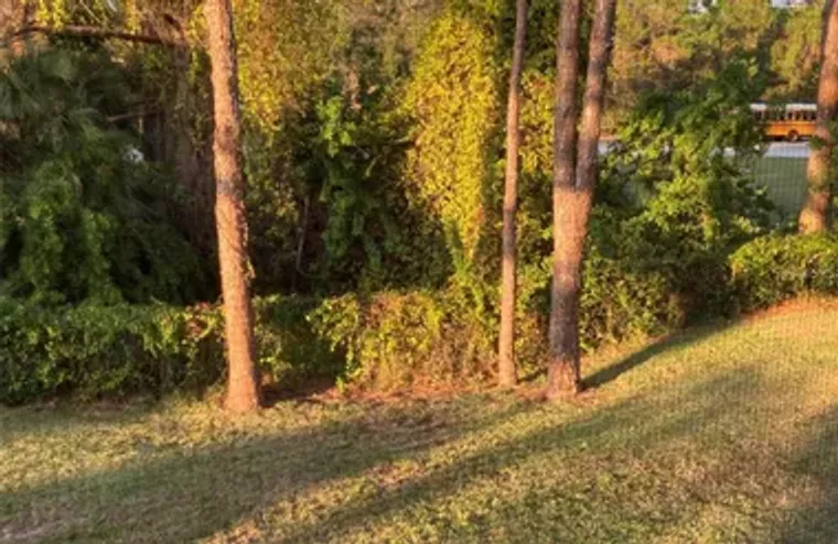 8198 TERRACE GARDEN DR N UNIT 211, ST PE..., St Petersburg, FL 33709