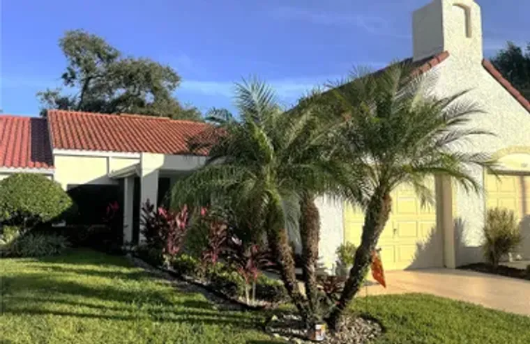 1109 MADEIRA DR, PALM HARBOR, FL, 34684, Palm Harbor, FL 34684