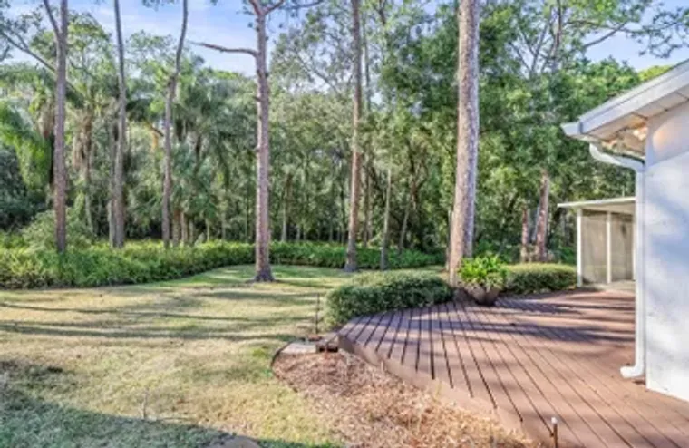 1128 LANYARD ST, PALM HARBOR, FL, 34685, Palm Harbor, FL 34685