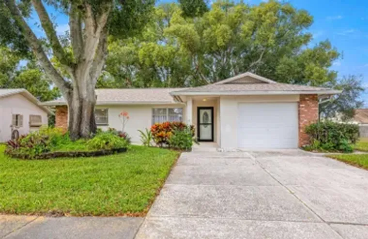142 STAFFORD CIR, PALM HARBOR, FL, 34684, Palm Harbor, FL 34684