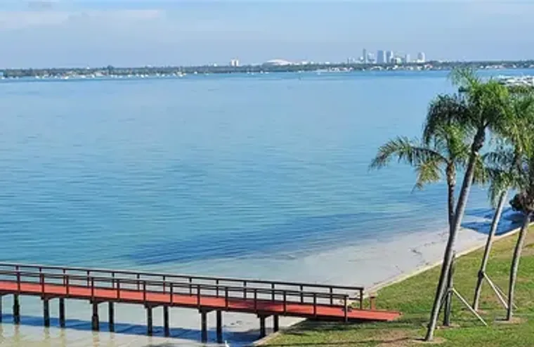 6211 SUN BLVD APT 401, SAINT PETERSBURG,..., Saint Petersburg, FL 33715