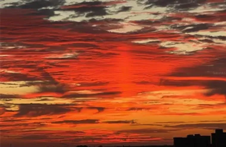 6265 SUN BLVD APT 1203, SAINT PETERSBURG..., Saint Petersburg, FL 33715