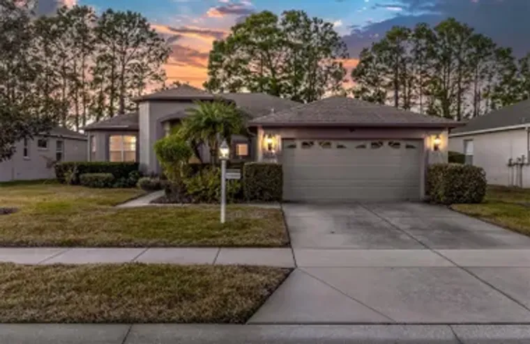 1553 MORNING ROSE PL, TRINITY, FL, 34655, Trinity, FL 34655