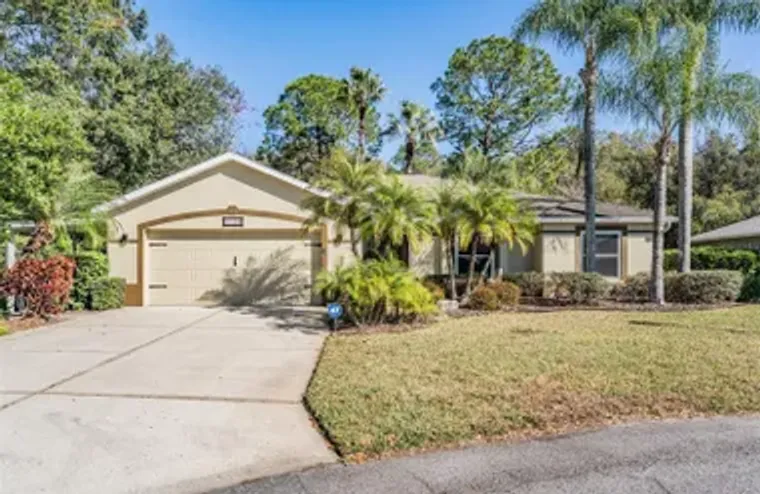 10133 COLLAR DR, SAN ANTONIO, FL, 33576, San Antonio, FL 33576