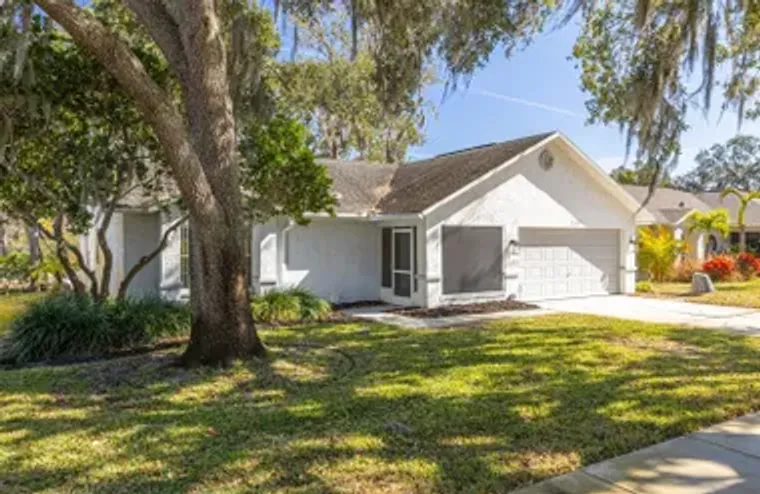 3569 OAK LAKE DR, PALM HARBOR, FL, 34684, Palm Harbor, FL 34684