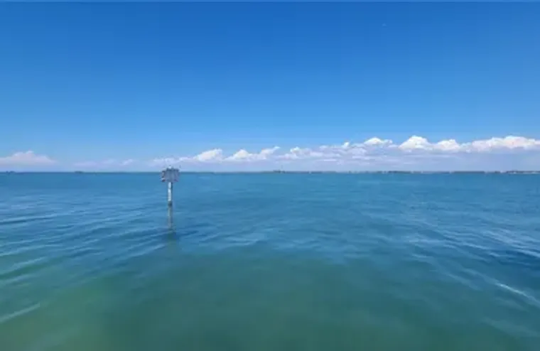 2 CAUSEWAY BLVD 101, DUNEDIN, FL, 34698, Dunedin, FL 34698