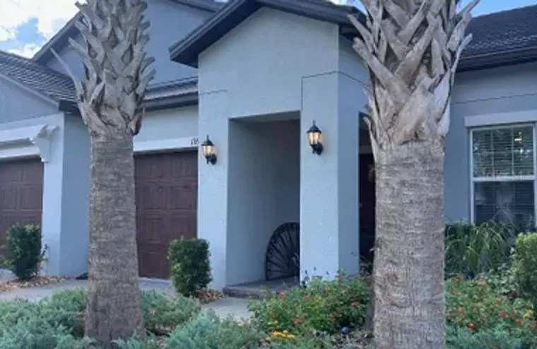 16919 FORGE SURF ST, LAND O LAKES, FL, 3..., Land O Lakes, FL 34638