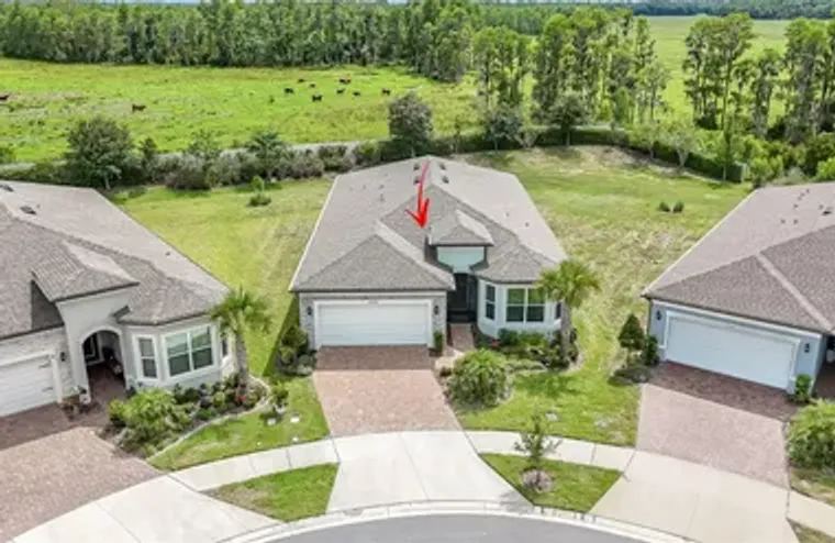 18466 COASTAL SHORE TER, LAND O LAKES, F..., Land O Lakes, FL 34638