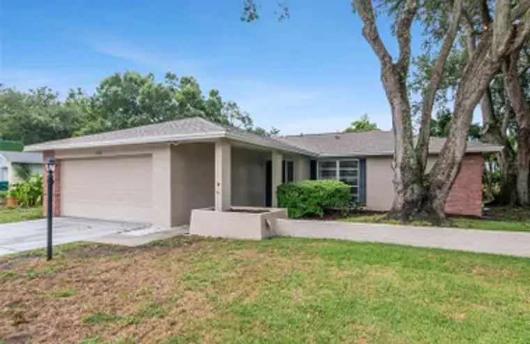 2958 DUNDEE DR, PALM HARBOR, FL, 34684, Palm Harbor, FL 34684