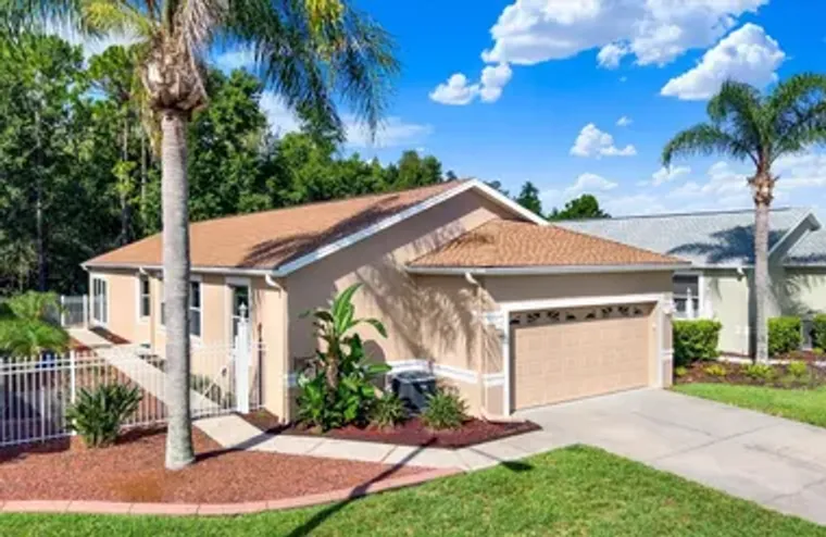21054 DIAMONTE DR, LAND O LAKES, FL, 346..., Land O Lakes, FL 34637