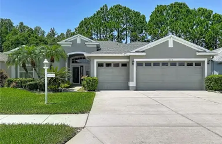 1535 MORNING ROSE PL, TRINITY, FL, 34655, Trinity, FL 34655
