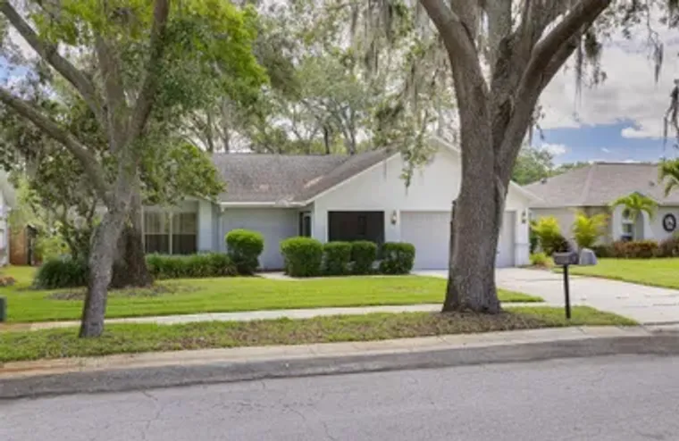 3569 OAK LAKE DR, PALM HARBOR, FL, 34684, Palm Harbor, FL 34684