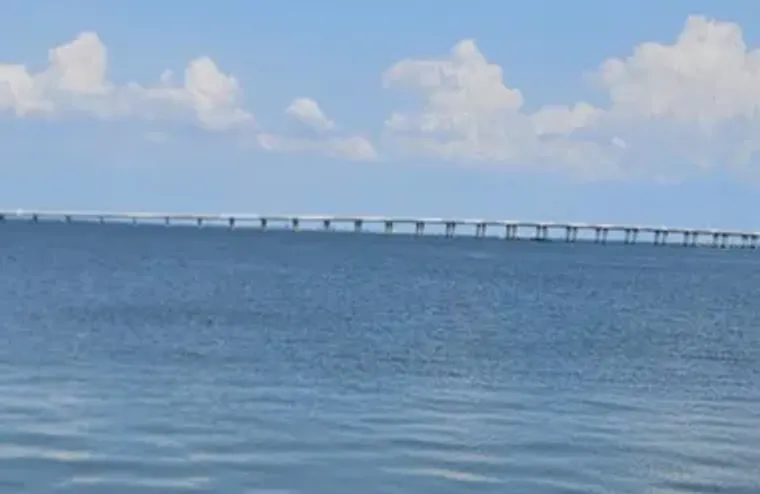 19029 US HIGHWAY 19 N APT 31F, CLEARWATE..., Clearwater, FL 33764