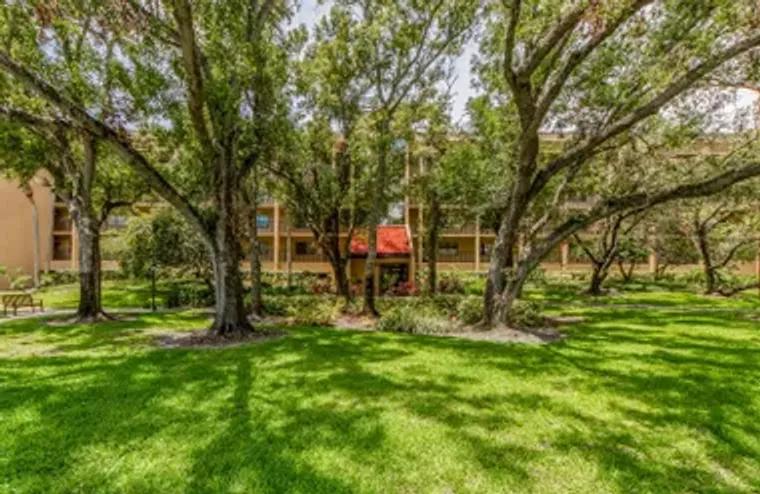 3078 EASTLAND BLVD 205, CLEARWATER, FL, ..., Clearwater, FL 33761