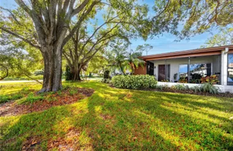 2390 SHELLY DR D, PALM HARBOR, FL, 34684, Palm Harbor, FL 34684