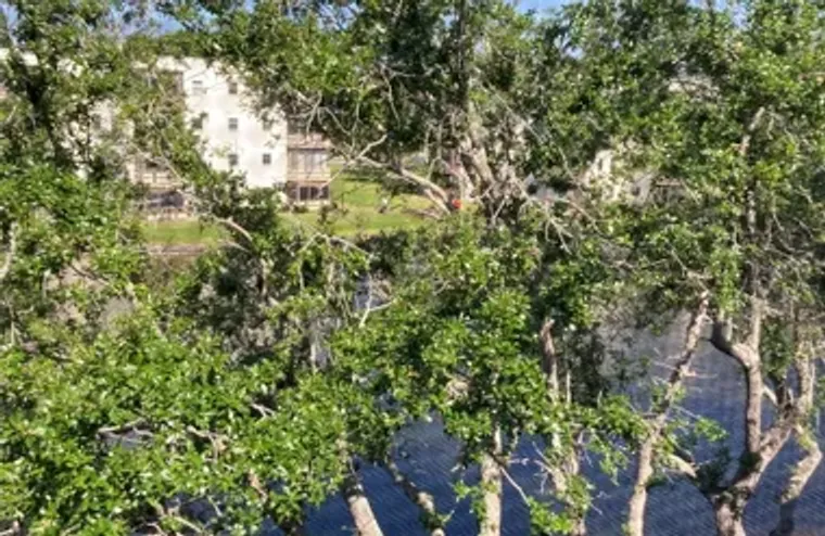 6080 80TH ST N UNIT 409, ST PETERSBURG, ..., St Petersburg, FL 33709