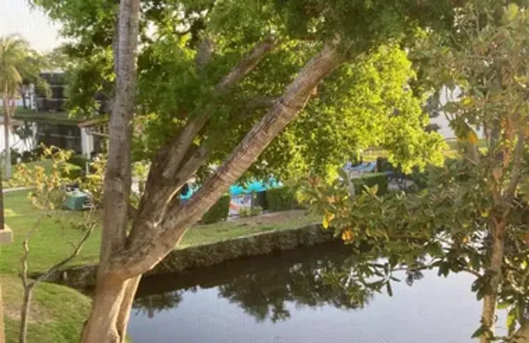 7951 58TH AVE N UNIT 308, ST PETERSBURG,..., St Petersburg, FL 33709