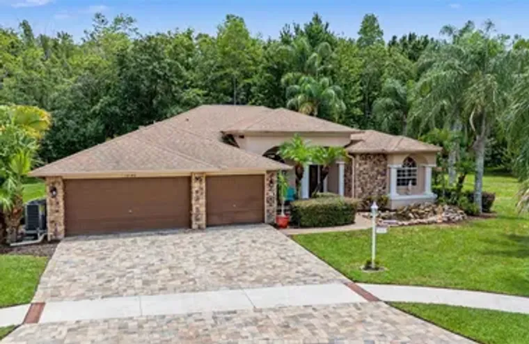 12146 WALSTONE CT, TRINITY, FL, 34655, Trinity, FL 34655