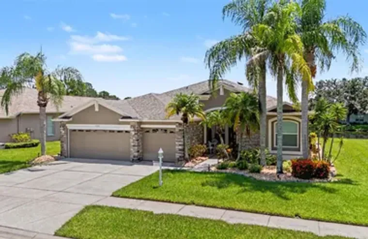 11230 WEDGEMERE DR, TRINITY, FL, 34655, Trinity, FL 34655