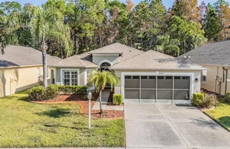 1143 DUSTAN PL, TRINITY, FL, 34655, Trinity, FL 34655