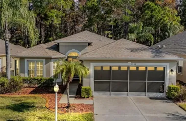 1143 DUSTAN PL, TRINITY, FL, 34655, Trinity, FL 34655