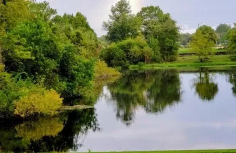 7737 EUREKA DR 203, HUDSON, FL, 34667, Hudson, FL 34667