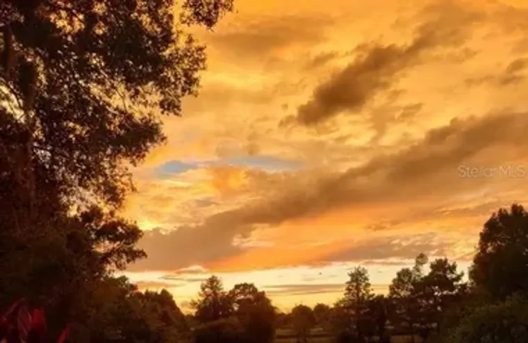 7737 EUREKA DR 203, HUDSON, FL, 34667, Hudson, FL 34667