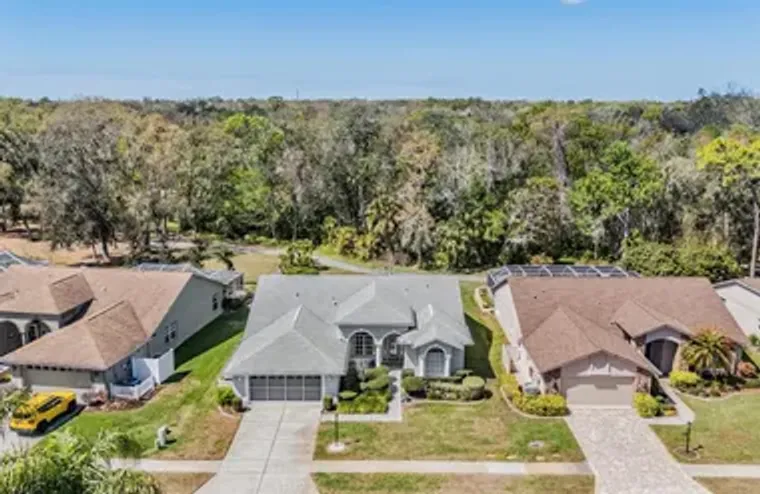 9525 SPRINGMEADOW DR, NEW PORT RICHEY, F..., New Port Richey, FL 34655