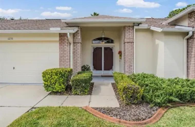 1231 FLORA VISTA ST, TRINITY, FL, 34655, Trinity, FL 34655