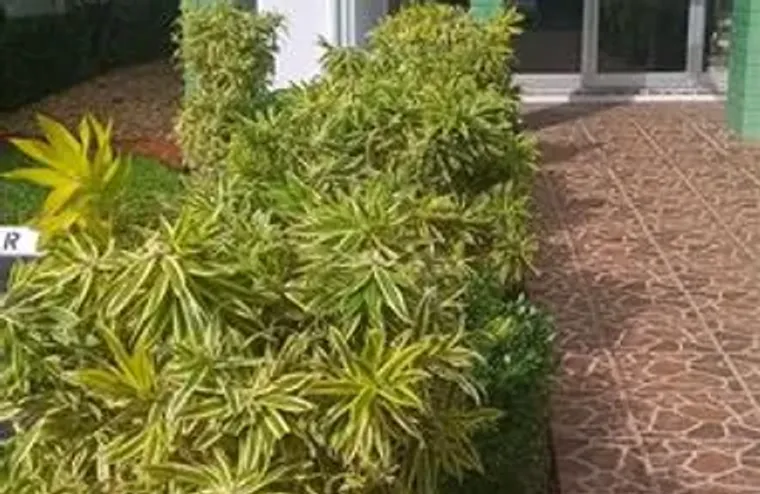 2271 NW 48TH TER 207, LAUDERHILL, FL, 33..., Lauderhill, FL 33313