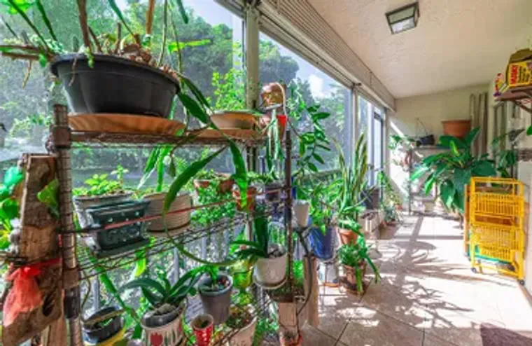 5900 NW 44TH ST 115, LAUDERHILL, FL, 333..., Lauderhill, FL 33319