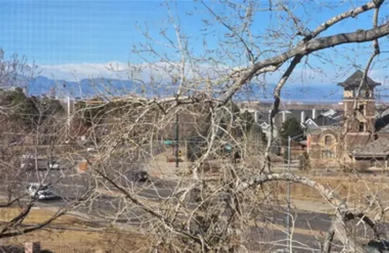 585 S ALTON WAY APT 4D, DENVER, CO, 8024..., Denver, CO 80247